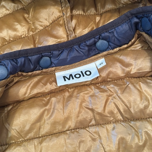 Molo Blue and Brown Puffer Jacket with Hood - Picture 2 of 4